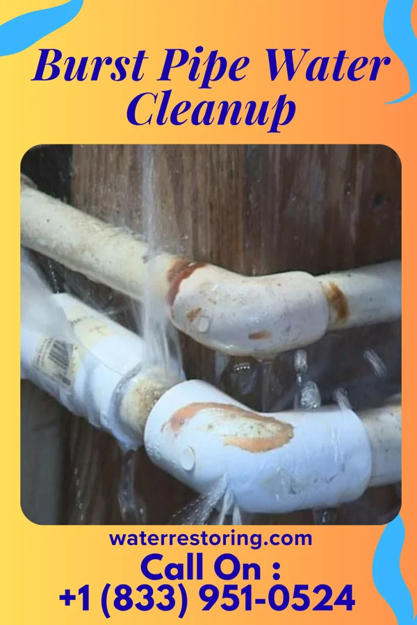 Burst Pipe Water Cleanup in Ebensburg, PA