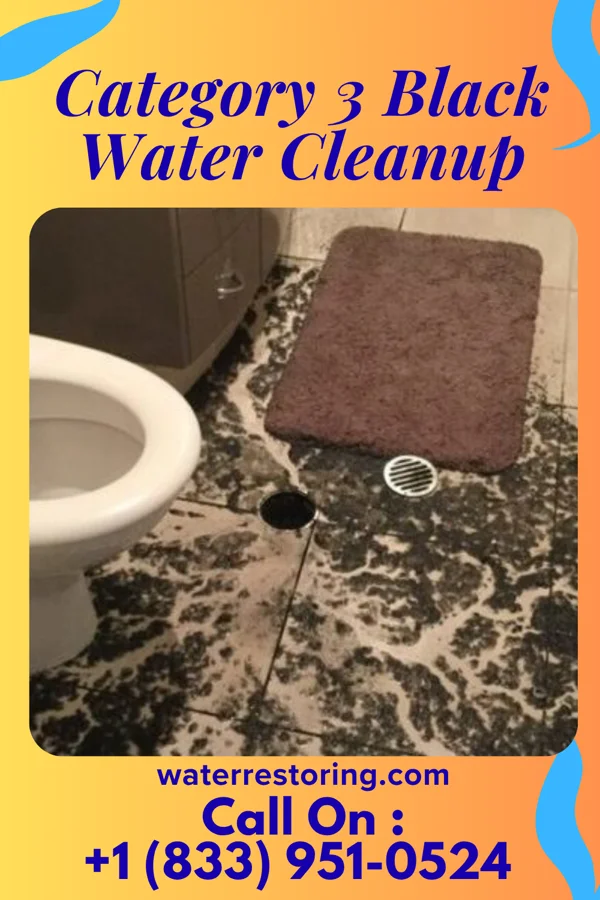 Category 3 Black Water Cleanup in Ebensburg, PA
