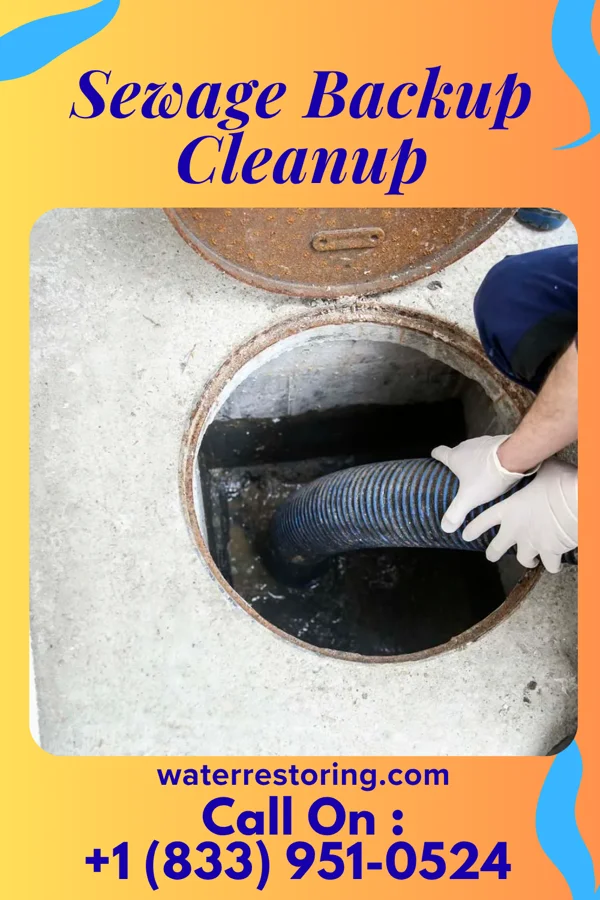 Sewage Backup Cleanup in Ebensburg, PA
