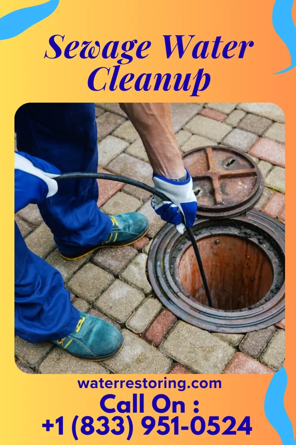 Sewage Water Cleanup in Ebensburg, PA