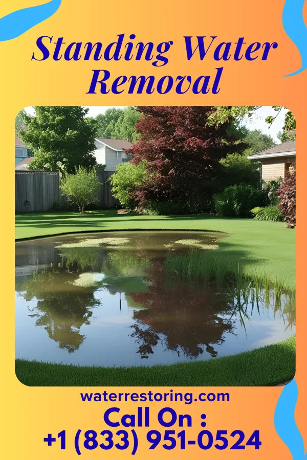 Standing Water Removal in Ebensburg, PA